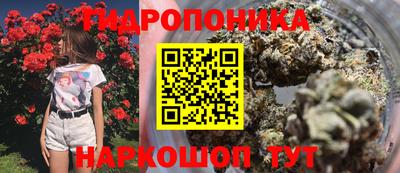 гидропоника Владимир