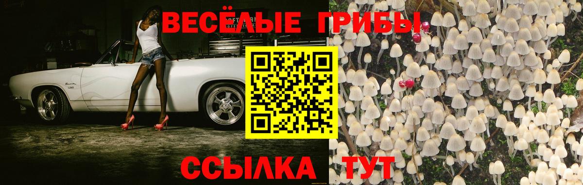 Галлюциногенные грибы Psilocybine cubensis  Вход с VPN  Котлас 